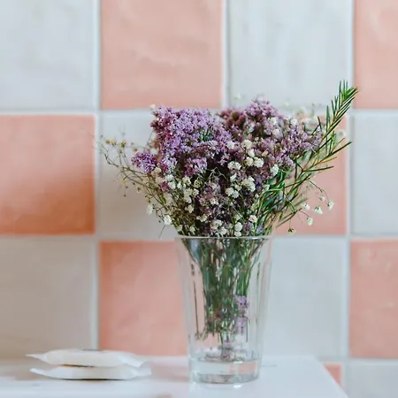 Hotel Santo Antonio De