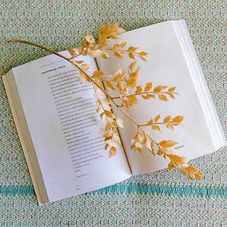 Santo Antonio De 3* Fatima